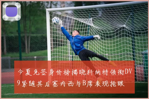 今夏免签身价榜揭晓科纳特领衔DV9紧随其后塞内西与B席表现抢眼
