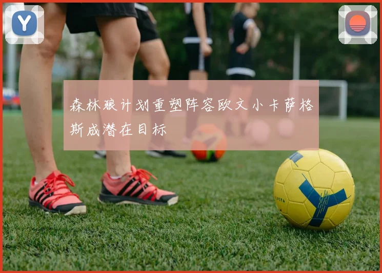 森林狼计划重塑阵容欧文小卡萨格斯成潜在目标